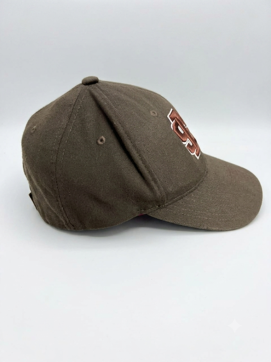 MS 01 Brown